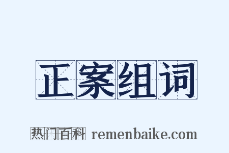 正案组词是什么意思的图片